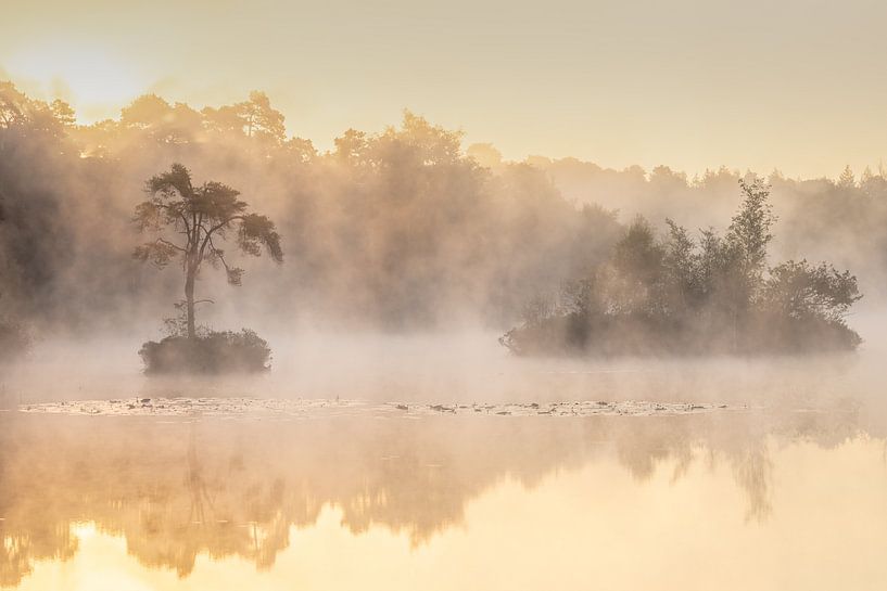 Zonsopkomst en mystieke omstandigheden in Brabant van Andy Luberti