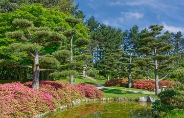 Le printemps dans le jardin japonais sur Peter Eckert