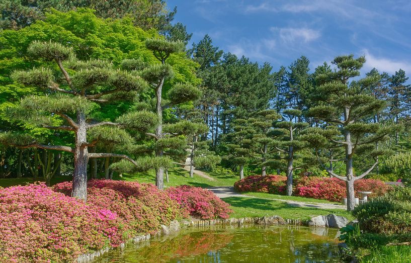Lente in de Japanse Tuin van Peter Eckert