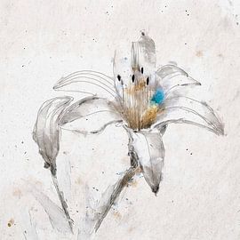 Gemälde einer Weißen Lilie in Mischtechnik von Studio Pieternel