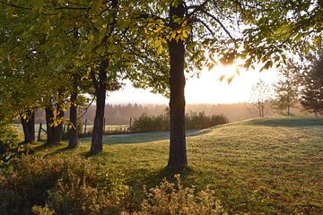 A sunrise on an autumn morning by Claude Laprise