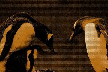 Gentoo penguins by Maurice Dawson