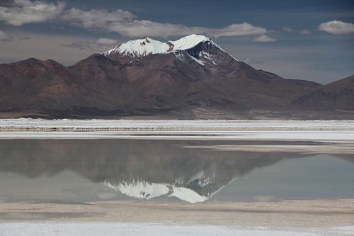 Weerspiegeling van bergtoppen Andes op natte zoutvlakte nabij San Pedro de Atacama
