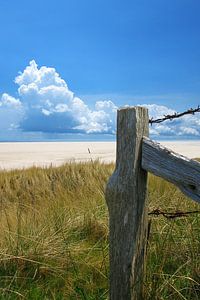 Alter Zaunpfahl in den Dünen