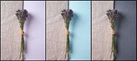 Lavender and hessian triptych