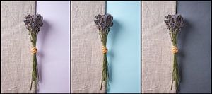 Lavande et toile de jute