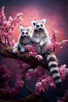Maki, lemur