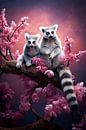 Maki, lemur van Joriali fotografie en schilderijen thumbnail