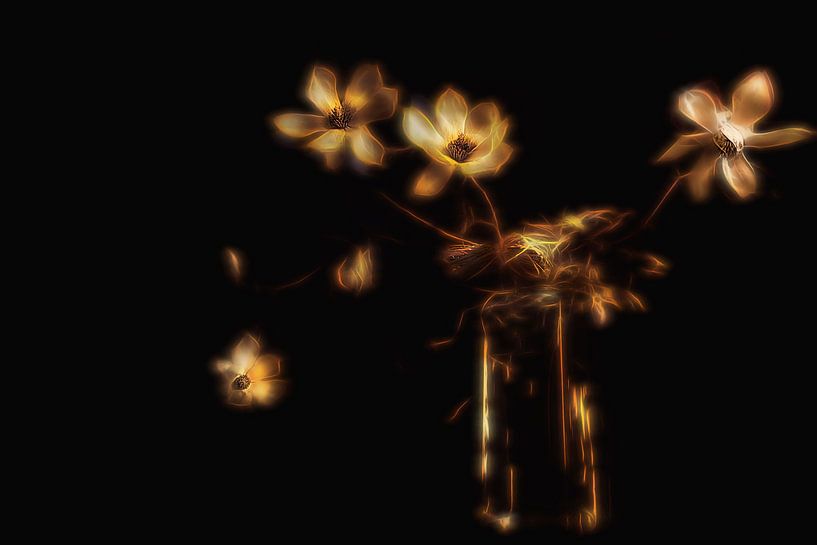 Des fleurs lumineuses... par Ton de Jong