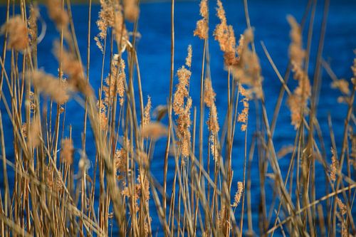 Abendstimmung am See