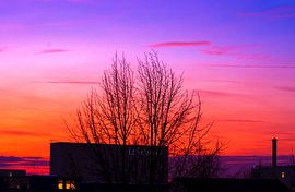 Concept landscape : city sunset van Photoart-Naegele