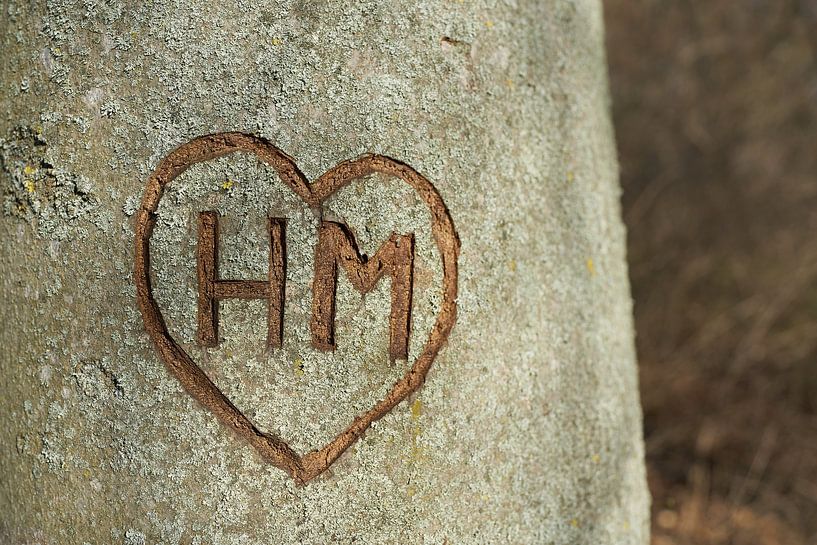 Initialen von unbekannten Verliebten von Heiko Kueverling