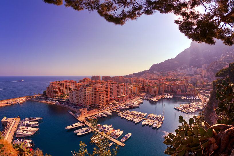 Monaco, Port de Fontvieille van Tobias Majewski