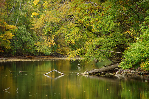 Herbst am Fluss