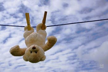 Der lustige Bär hängt zum Trocknen auf.
