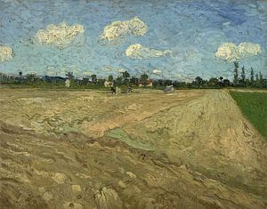 Gepflügte Felder - Vincent van Gogh