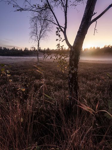 Herbst im Schönramer Filz
