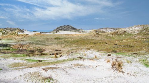 Schoorl avec vue sur les dunes et la mer du Nord