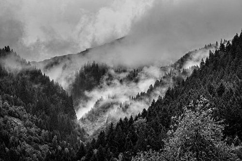 Alpen @ Sankt-Gallenkirch