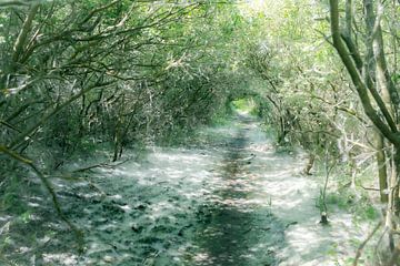 Bäderstraße nach Paal 3 von Floris van Woudenberg