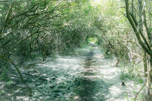 Bathing road to Paal 3