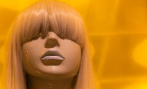 Schaufensterpuppe von Corina Giethoorn