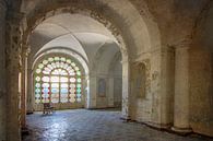 The dilapidated hospital by Frans Nijland thumbnail