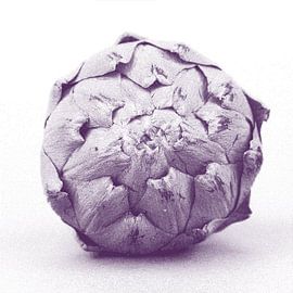 Artichaut mauve sur STUDIO7005 .nl