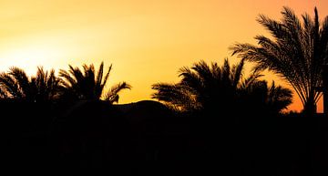 Zonsondergang Egypte van Peter-Paul Timmermans