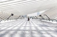 Station Luik-Guillemins by Roy Poots thumbnail