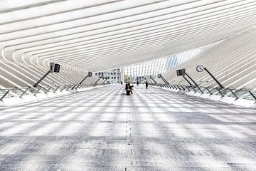 Station Luik-Guillemins by Roy Poots