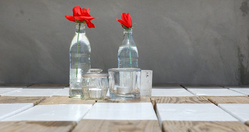 Flower  in a bottle by Carolina Vergoossen