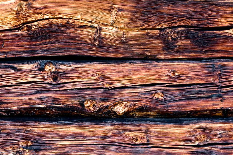 hout by jaap vegter
