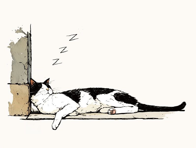 ZZZ - Le chat qui dort par Karina Brouwer