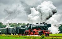 Stoomtrein op het platteland met dikke rookwolken uit locomotief van Sjoerd van der Wal Fotografie thumbnail