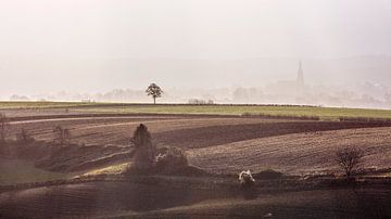 Felder in der Nähe der Haltestelle Eyser (und der Kirche von Vijlen) von Rob Boon