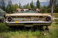 Ford Galaxie 500 XL, convertible by Ton van Waard - Pro-Moois thumbnail