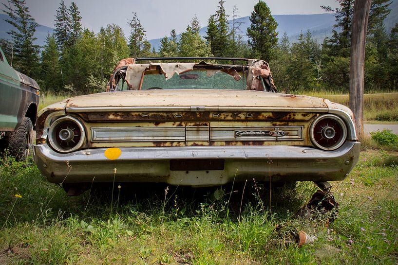 Ford Galaxie 500 XL, convertible by Ton van Waard - Pro-Moois