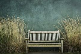 Holzbank mit wilden Gräsern von Imperial Art House