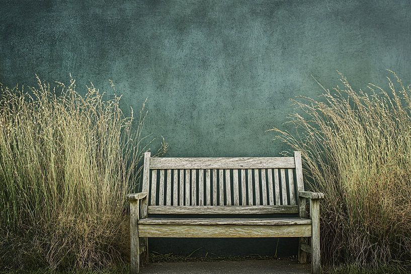 Wooden bench with wild grasses by Imperial Art House