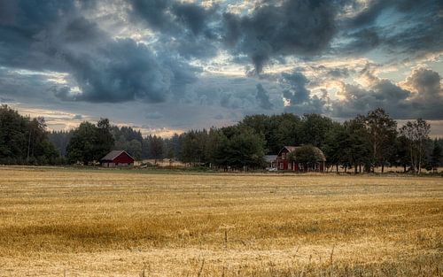 Ekenäs - Värmlands län - Zweden