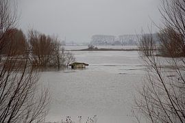 Birdhouse blank by Huub Westendorp