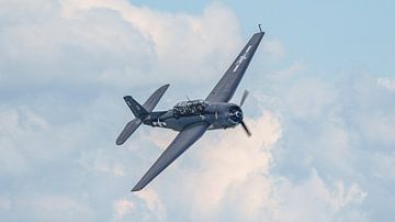 Grumman TBM-3E Avenger. van Jaap van den Berg