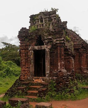 Thu Bồn: Mỹ Sơn Ruïnes von Maarten Verhees