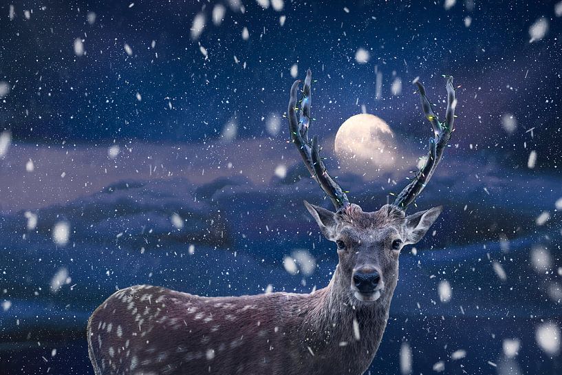Weihnachts-Fotomanipulation: Majestätische Hirsche mit funkelnder Beleuchtung für festliche Atmosphäre von Elianne van Turennout