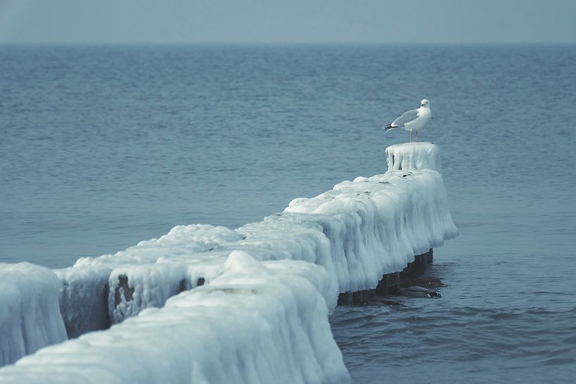 Ice-covered Groins by Jörg Hausmann