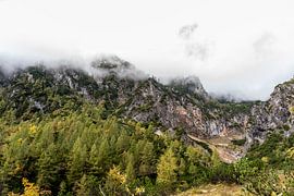 Misty mountain peaks by Esmé Gernette