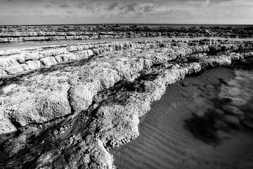 Cap Gris Nez van Leen Van den Abeele