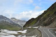 Swiss Alpine Adventure van Marcel van Duinen thumbnail
