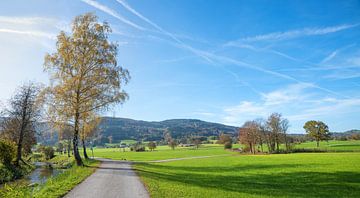 Radweg im  Auer Weitmoos, Bad Feilnbach, Oberbayern von SusaZoom